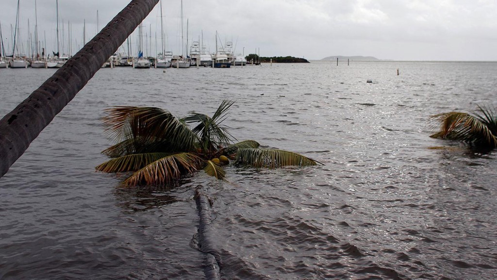 Ураган Ірма став причиною 11 смертей, пройшовся по Барбуді, Пуерто-Ріко та направляється до Південної Флориди
