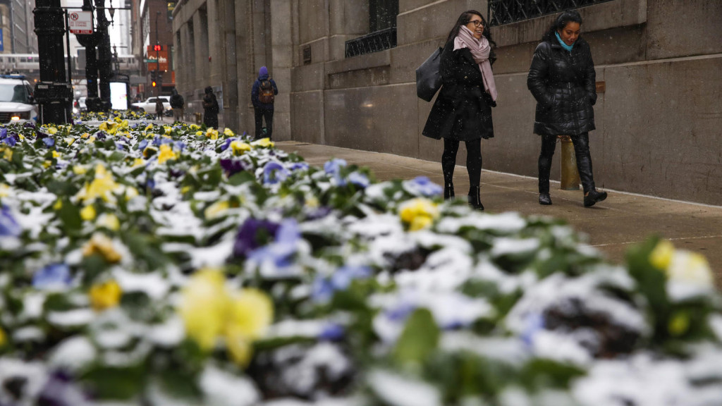 В Чикаго випав весняний сніг, метеорологи вважають цей квітень одним з найхолодніших за останні 130 років