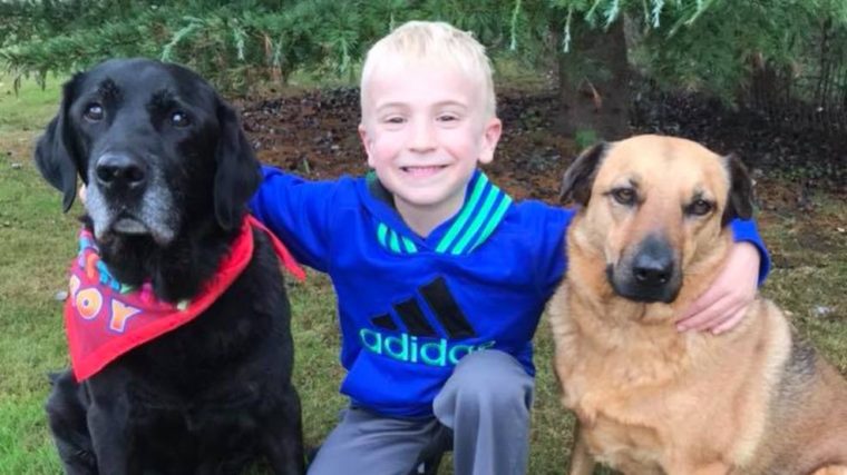 6-річний хлопчик врятував тисячу собак з притулків, де вбивають собак