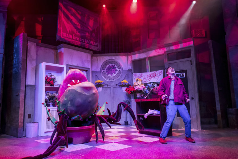 Little Shop of Horrors