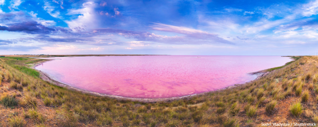 Топ-7 рожевих озер України
