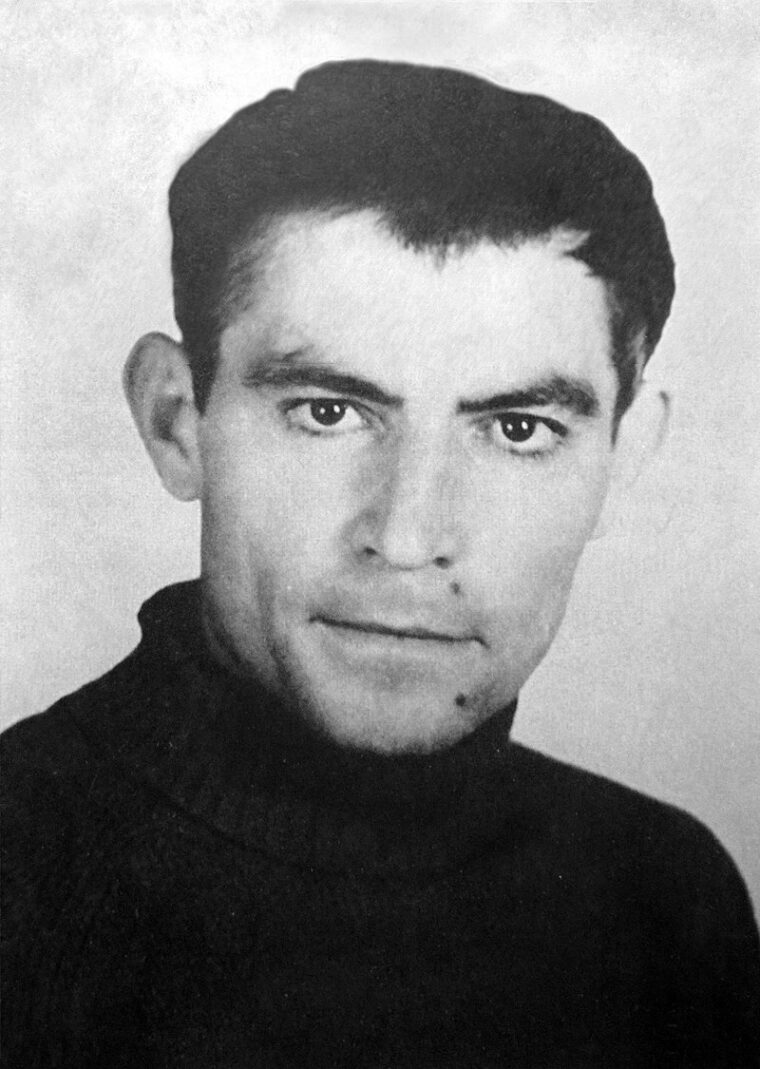 Загибель Василя Стуса