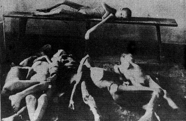 HARVESTING DESPAIR SPIKING THE UKRAINIAN FAMINE, AGAIN