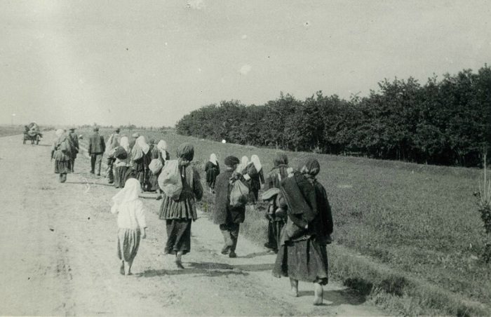 HARVESTING DESPAIR SPIKING THE UKRAINIAN FAMINE, AGAIN
