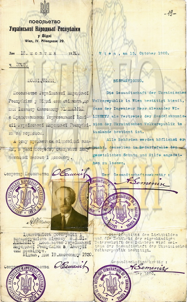 “Ніжна мімоза”. Валерія О’Коннор-Вілінська