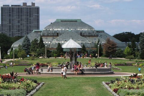 It is Not Yet Springtime March in Chicago