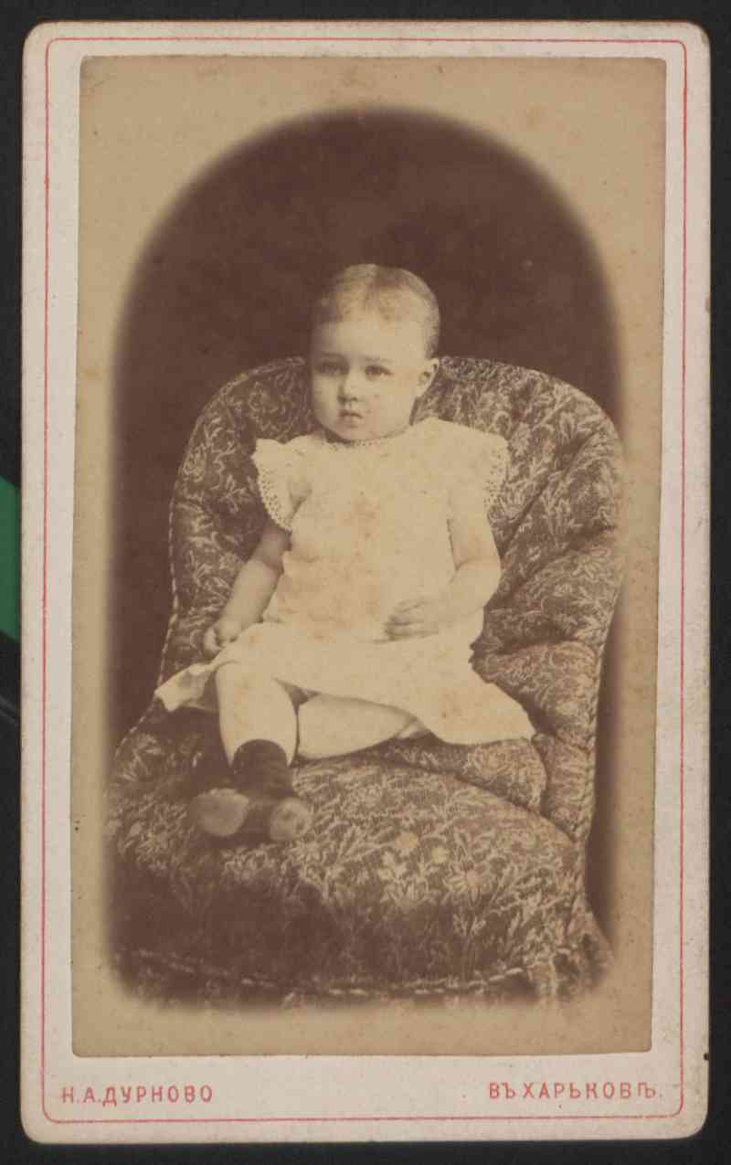 Обрії життя і творчості Наталії Полонської-Василенко