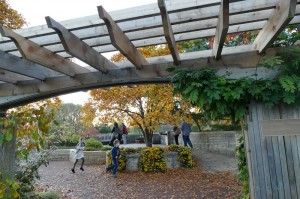 Осінь в Чиказькому ботанічному саду